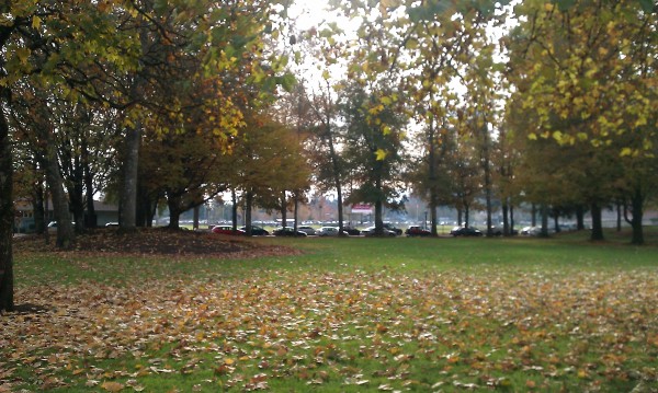 The Grove at WOU